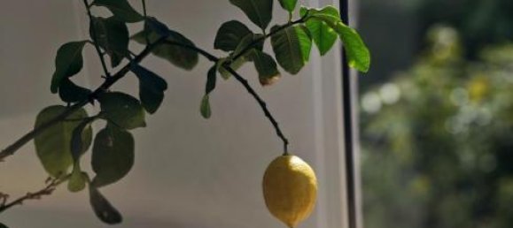 8 rooms House in Judenburg, Austria No. 157711 10