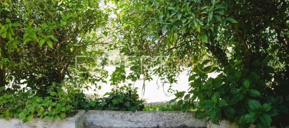 6 bedrooms Castles in Lousa, Portugal No. 118480 4