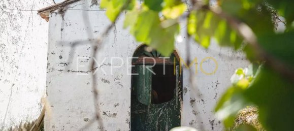 6 bedrooms Castles in Lousa, Portugal No. 118480 13