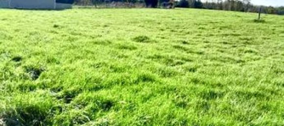  قطعة أرض في Cerisiers, France 1888متر مربع رقم 315275 3