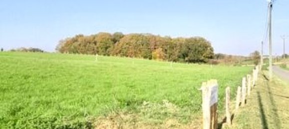  قطعة أرض في Cerisiers, France 1888متر مربع رقم 315275 4