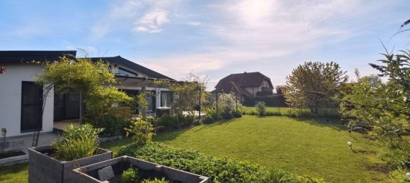 3-Zimmer Bungalow in Leitzersdorf, Austria, Nr. 211316 17