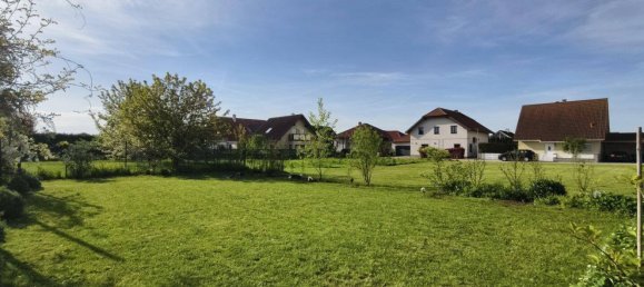 3-Zimmer Bungalow in Leitzersdorf, Austria, Nr. 211316 16