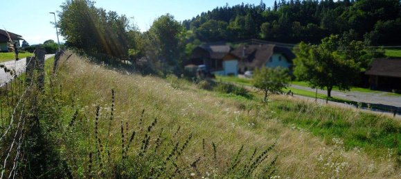 Grundstück in Schiefling am Wörthersee, Austria, Nr. 212474 3
