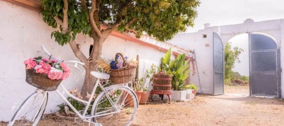 8 rooms House in Ostuni, Italy No. 223160 15