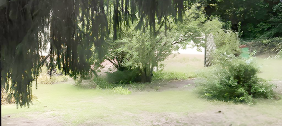  Land in Potsdam-Mittelmark, Germany No. 316568 6