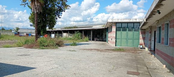 Lagerhaus in Turin, Italy 5000m², Nr. 332614 16