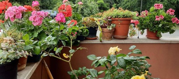 3غرفة شقة في Trieste, Italy رقم 107316 8