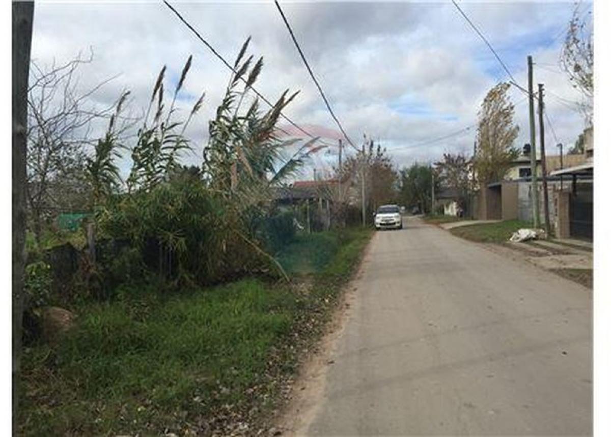  Land in Campo Creado, Argentina No. 120788