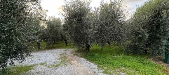 14000m² Land in Castagneto Carducci, Italy No. 142491 2