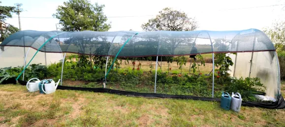 Villa de 5 dormitorios en Haute-Garonne, France No. 316367 8