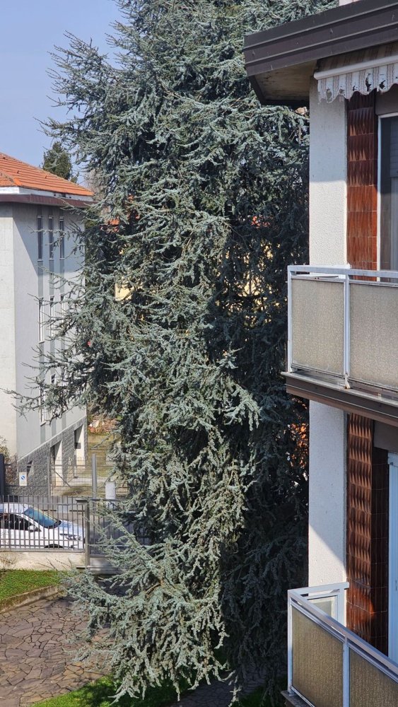 3 rooms Apartment in Binasco, Italy No. 110197