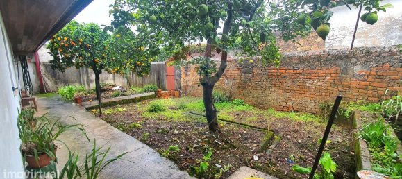 2 Schlafzimmer Haus in Pampilhosa, Portugal, Nr. 41860 21