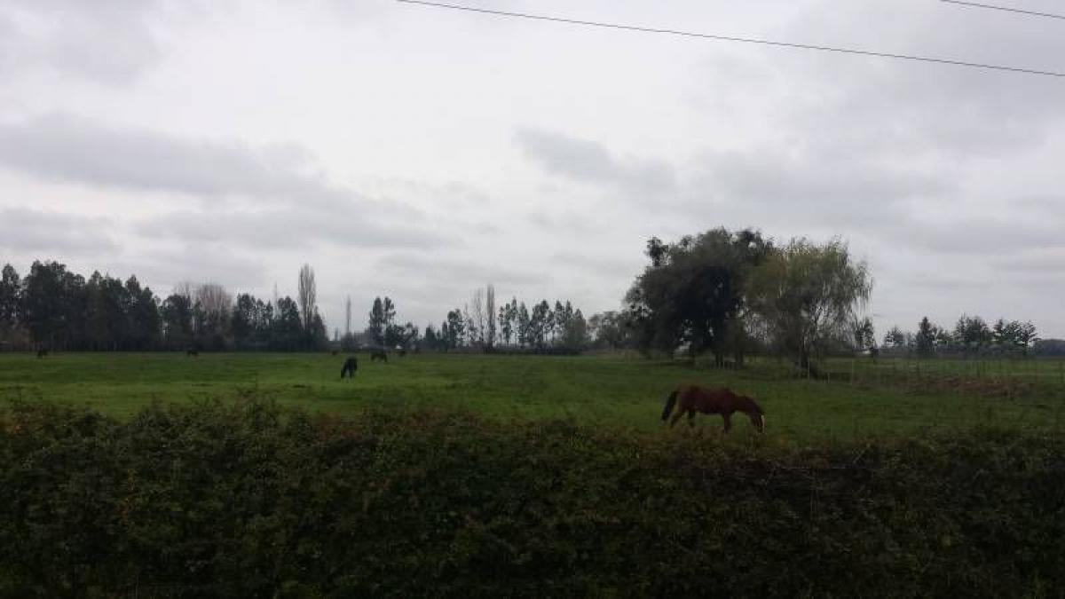 Grundstück in Maule, Chile, Nr. 939