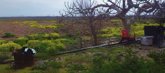 3غرفة شقة في Brindisi, Italy رقم 284452 11