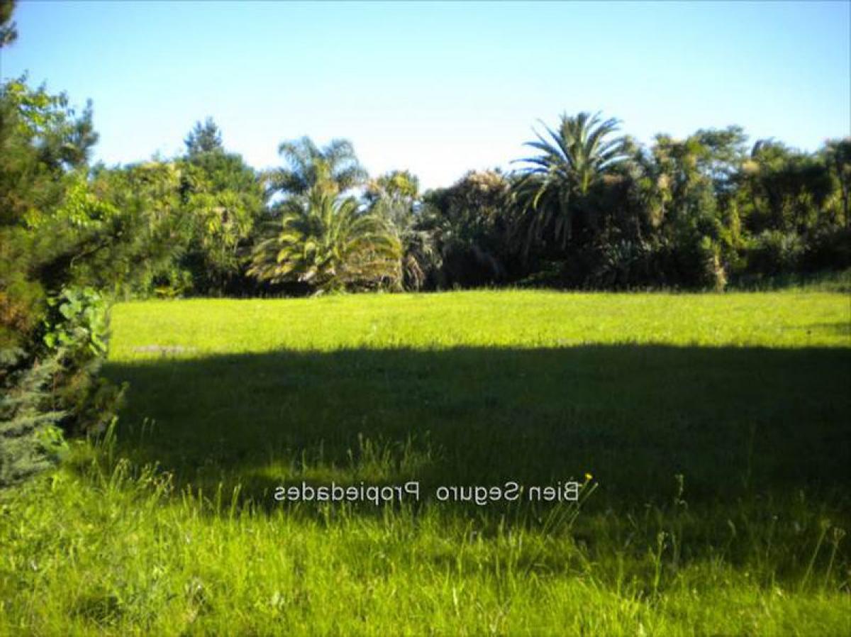 3 bedrooms House in Canelones, Uruguay No. 1062