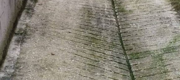 10 rooms Apartment in Terni, Italy No. 49624 12