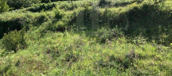 888m² Land in Seixas, Portugal No. 58735 4