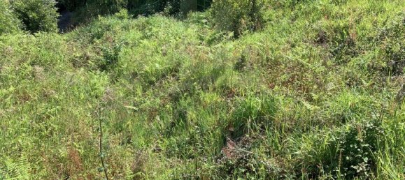 888m² Land in Seixas, Portugal No. 58735 3