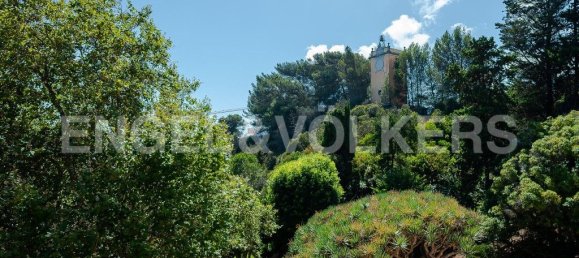 9 bedrooms House in Oeiras, Portugal No. 106053 35