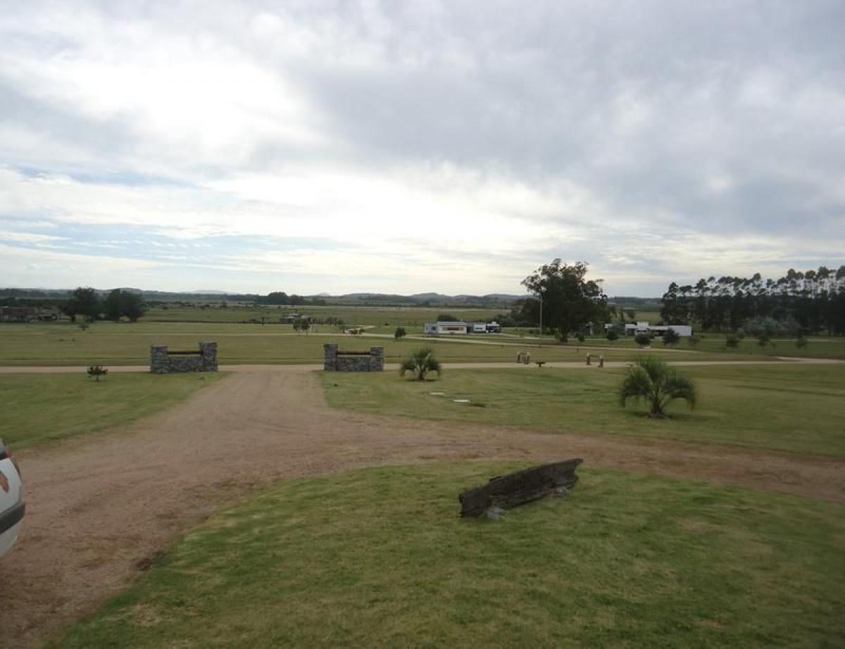 Terrain à Maldonado, Uruguay No. 14726