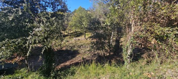 Terreno em Vidauban, France N.º 239618 3