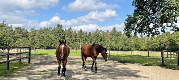 Casa T8 em Harburg, Germany N.º 181510 2