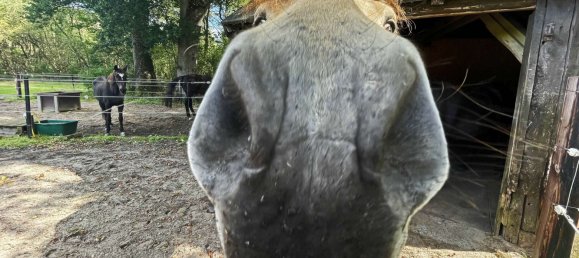 Casa T8 em Harburg, Germany N.º 181510 7