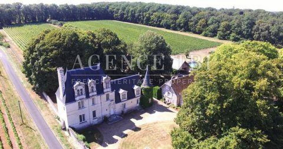 14 bedrooms House in Chenonceaux, France No. 6643