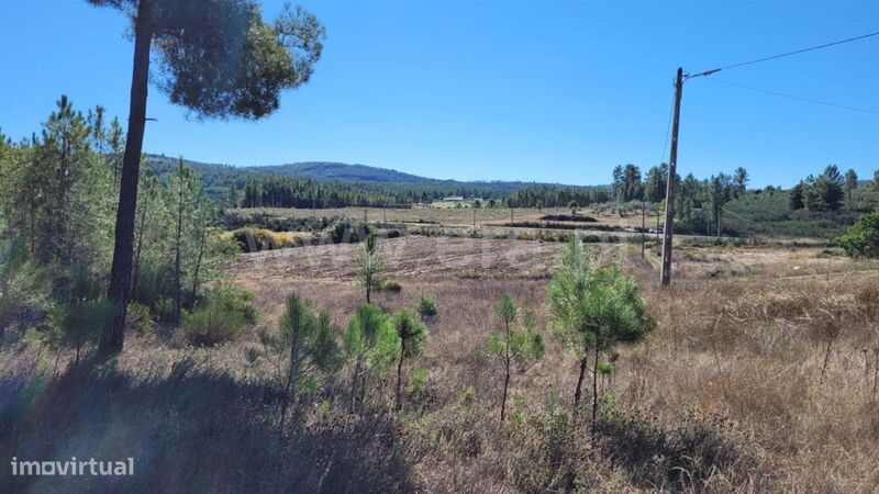 Земельный участок 17000м² в Enxames, Португалия № 274776