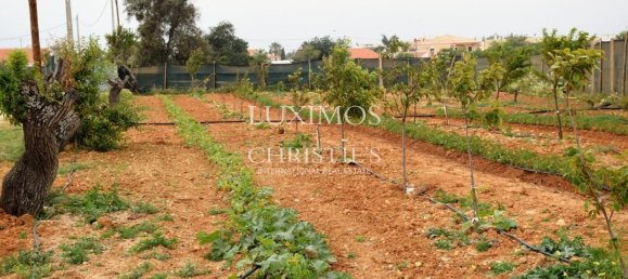 Terreno en Guia, Portugal 101519 m² No. 10062 9