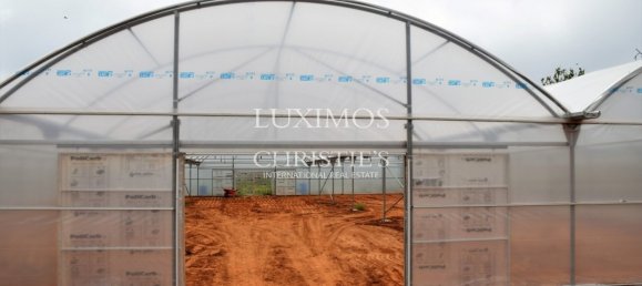 Terreno en Guia, Portugal 101519 m² No. 10062 12