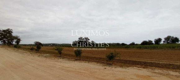 Terreno en Guia, Portugal 101519 m² No. 10062 17
