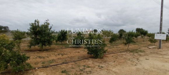 Terreno en Guia, Portugal 101519 m² No. 10062 20