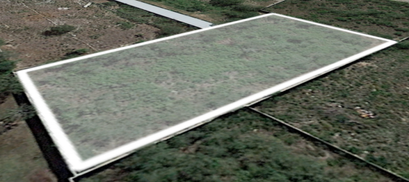 Grundstück in Merida, Mexico, Nr. 113792 2