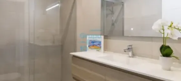 3 bedrooms Apartment in Basque Autonomous Community, Spain No. 144589 34