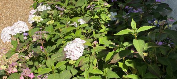 4 غرف نوم منزل في Saint-Prest, France رقم 153586 24