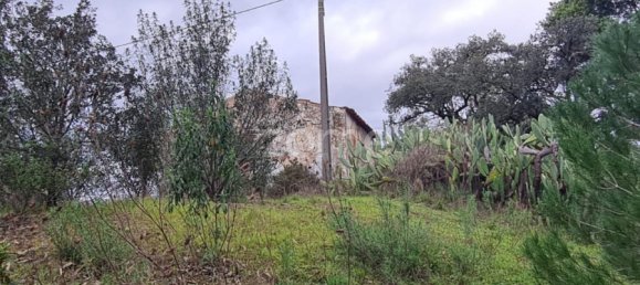 3 غرف نوم منزل في Silves, Portugal رقم 154441 18