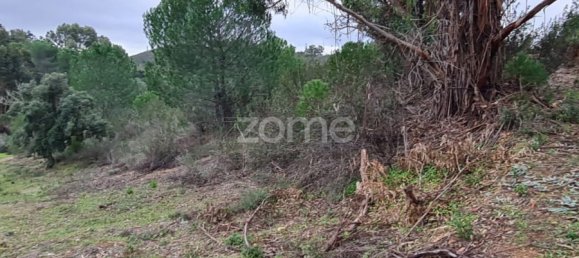 3 غرف نوم منزل في Silves, Portugal رقم 154441 19