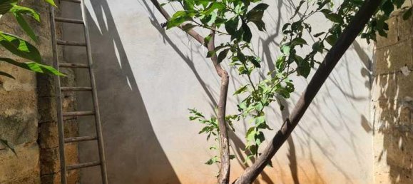 Apartamento de 4 habitaciónes en Parabita, Italy No. 237750 27