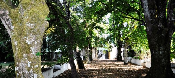 Casa de 8 dormitorios en Lousa, Portugal No. 118483 5