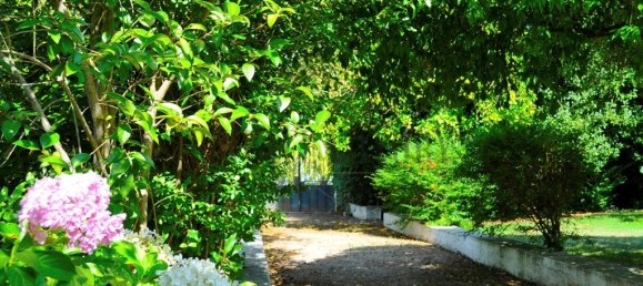 Casa de 8 dormitorios en Lousa, Portugal No. 118483 30