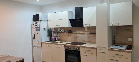 2 bedrooms House in Zwentendorf an der Donau, Austria No. 77407 5