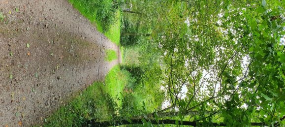 4 Schlafzimmer Haus in Le Val-d'Ajol, France, Nr. 234067 11