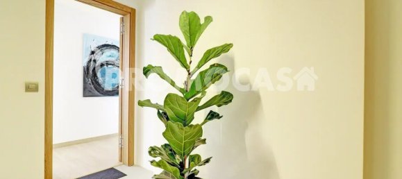 2 chambres Appartement à Adeje, Spain No. 277294 17