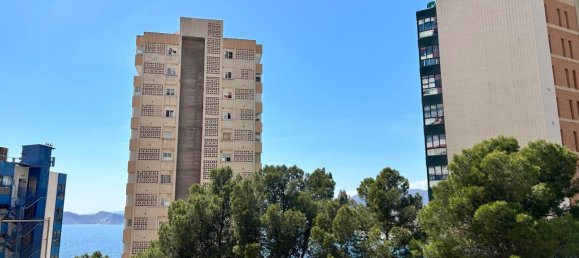 1 chambre appartement à vendre à Benidorm, Alicante, Valencian Community, Spain № 365975 28