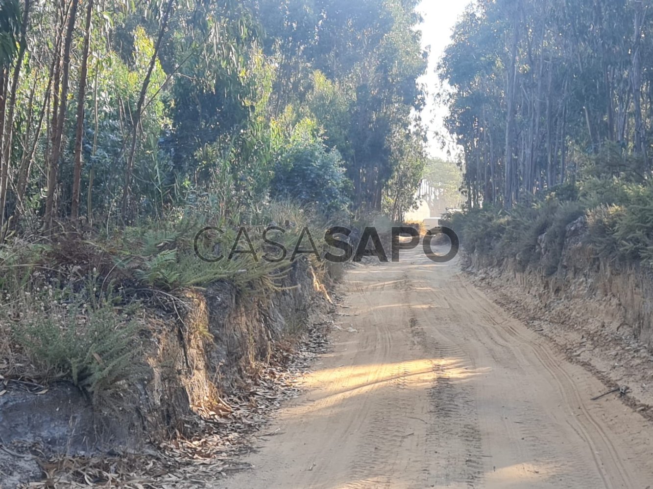 Grundstück in Torres Vedras, Portugal, Nr. 347009