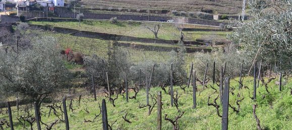 2 Schlafzimmer Haus in Santa Marta de Penaguiao, Portugal, Nr. 169707 2