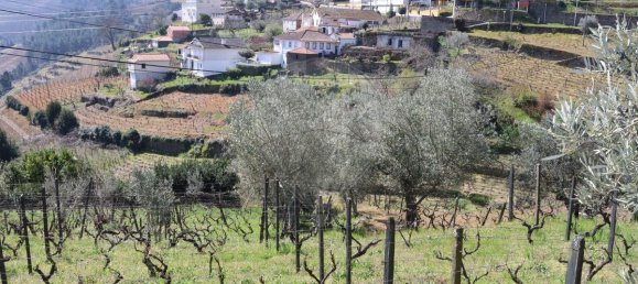 2 Schlafzimmer Haus in Santa Marta de Penaguiao, Portugal, Nr. 169707 11
