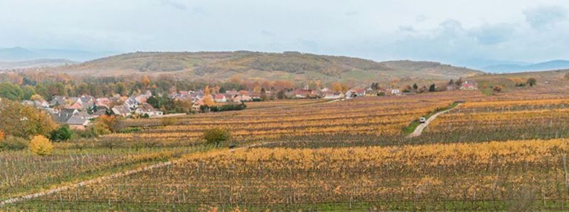 3 Schlafzimmer Doppelhaus in Ergersheim, France, Nr. 67958